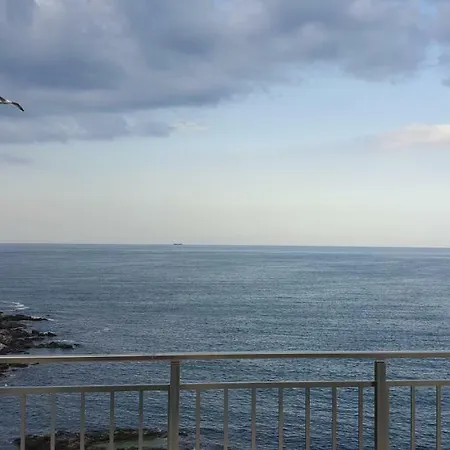 Harmony Guest house 4*