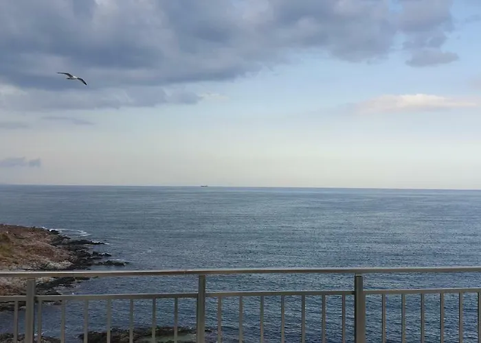 Harmony Gæstehus 3*